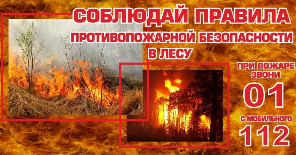 Собственникам земельных участков, прилегающим к лесонасаждениям: Правила пожарной безопасности, обязанности и ответственность.