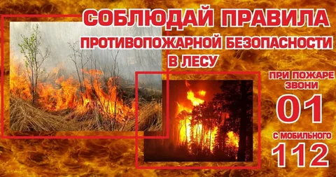 В лесах Кировской области установлен особый противопожарный режим..